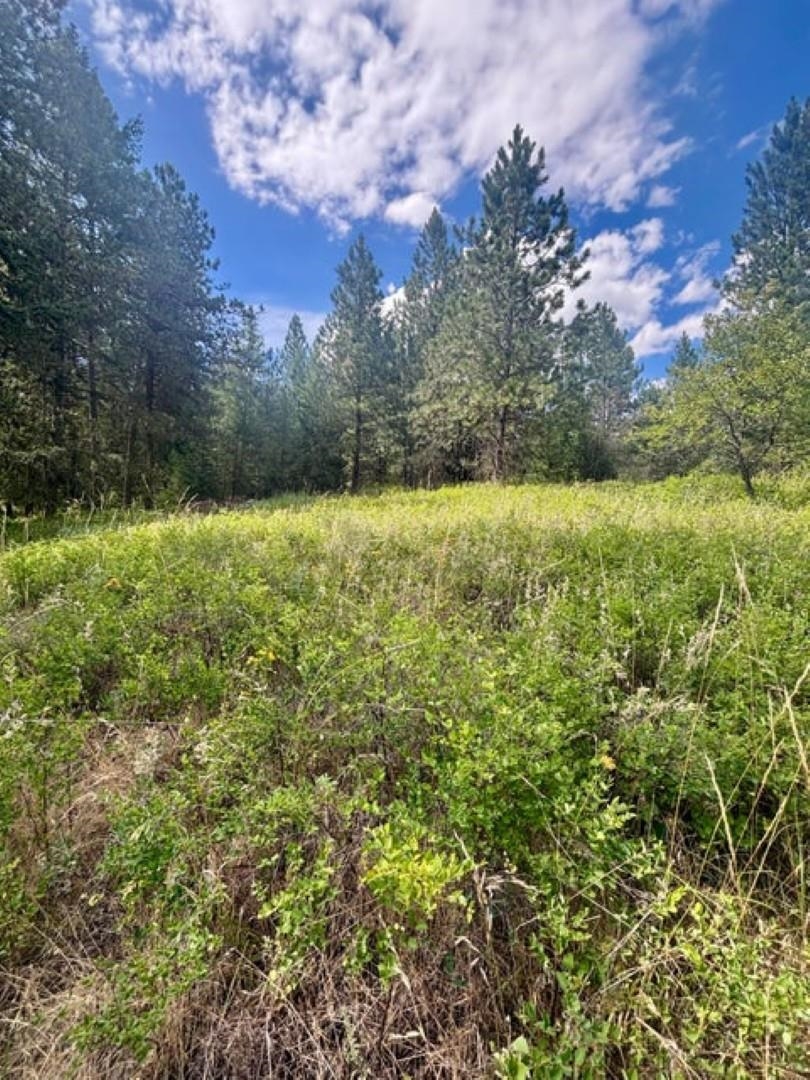 XXXX Hill Loop Rd - Photo 16