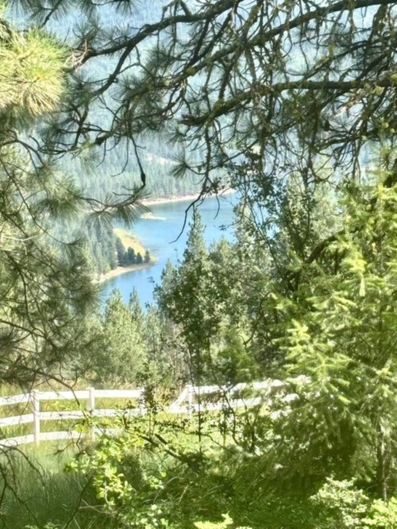 XXXX Hill Loop Rd - Photo 4