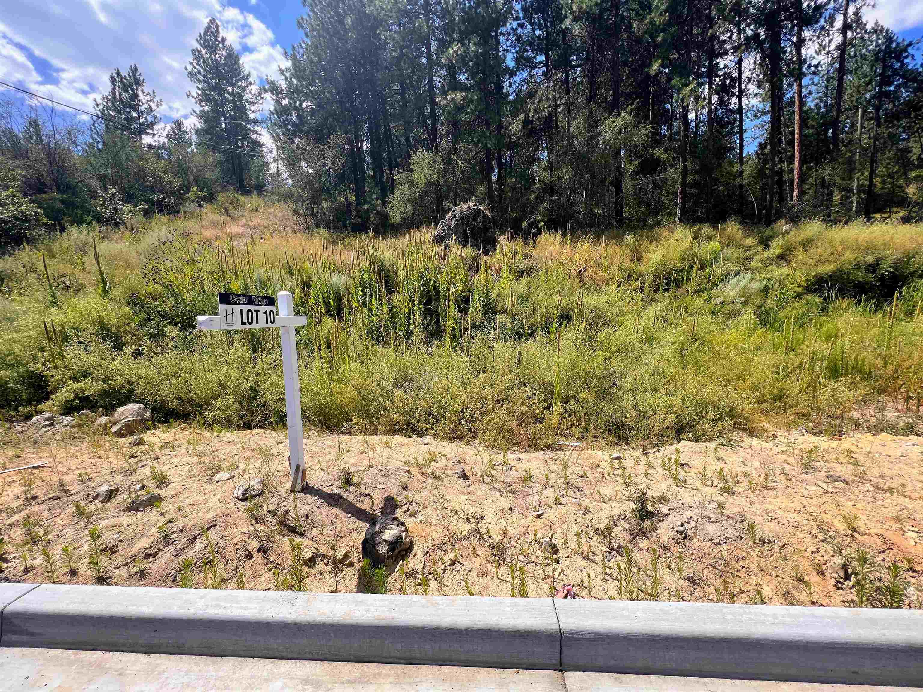 8XXX N Jefferson Dr - Photo 1