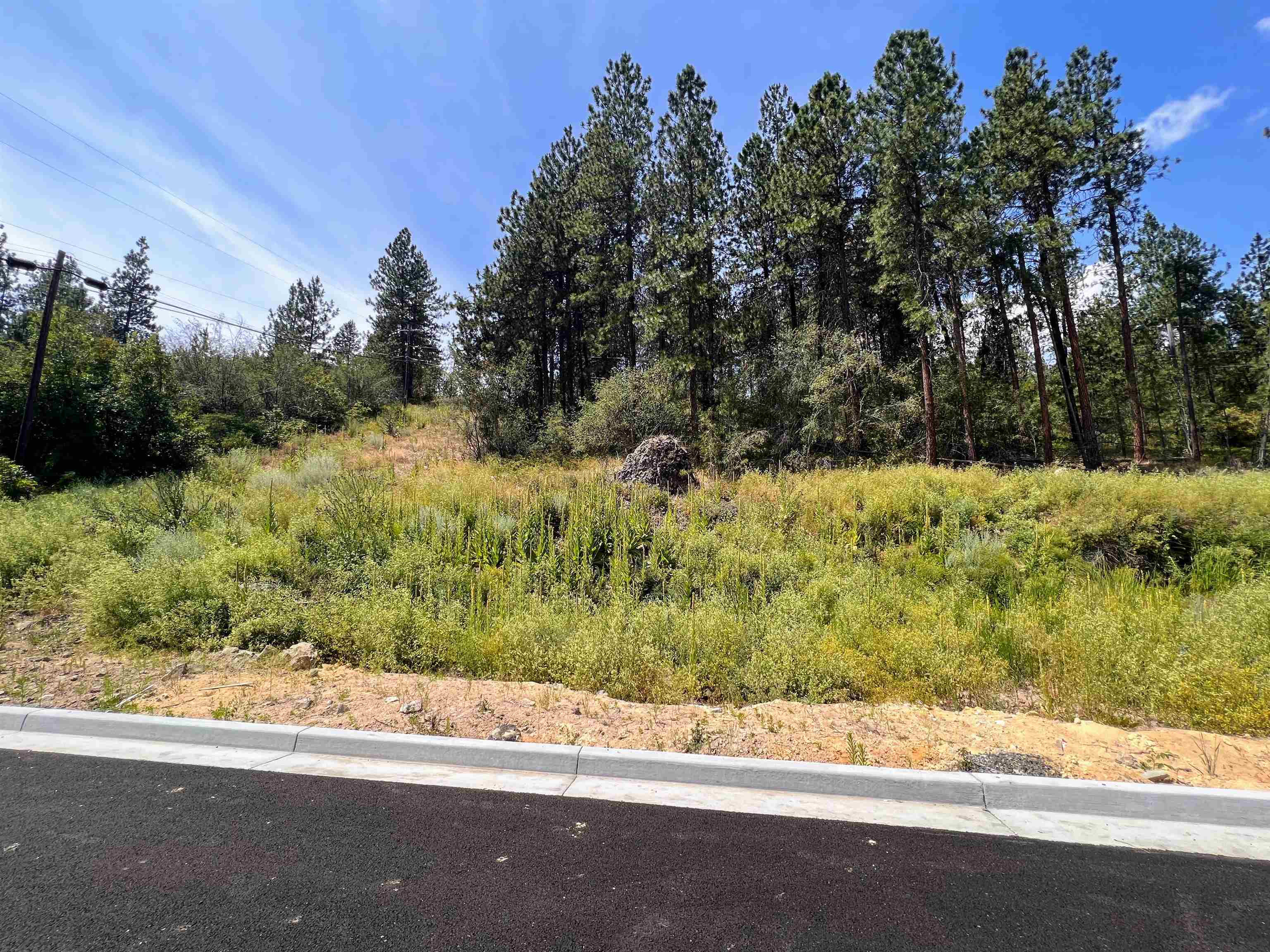 8XXX N Jefferson Dr - Photo 2