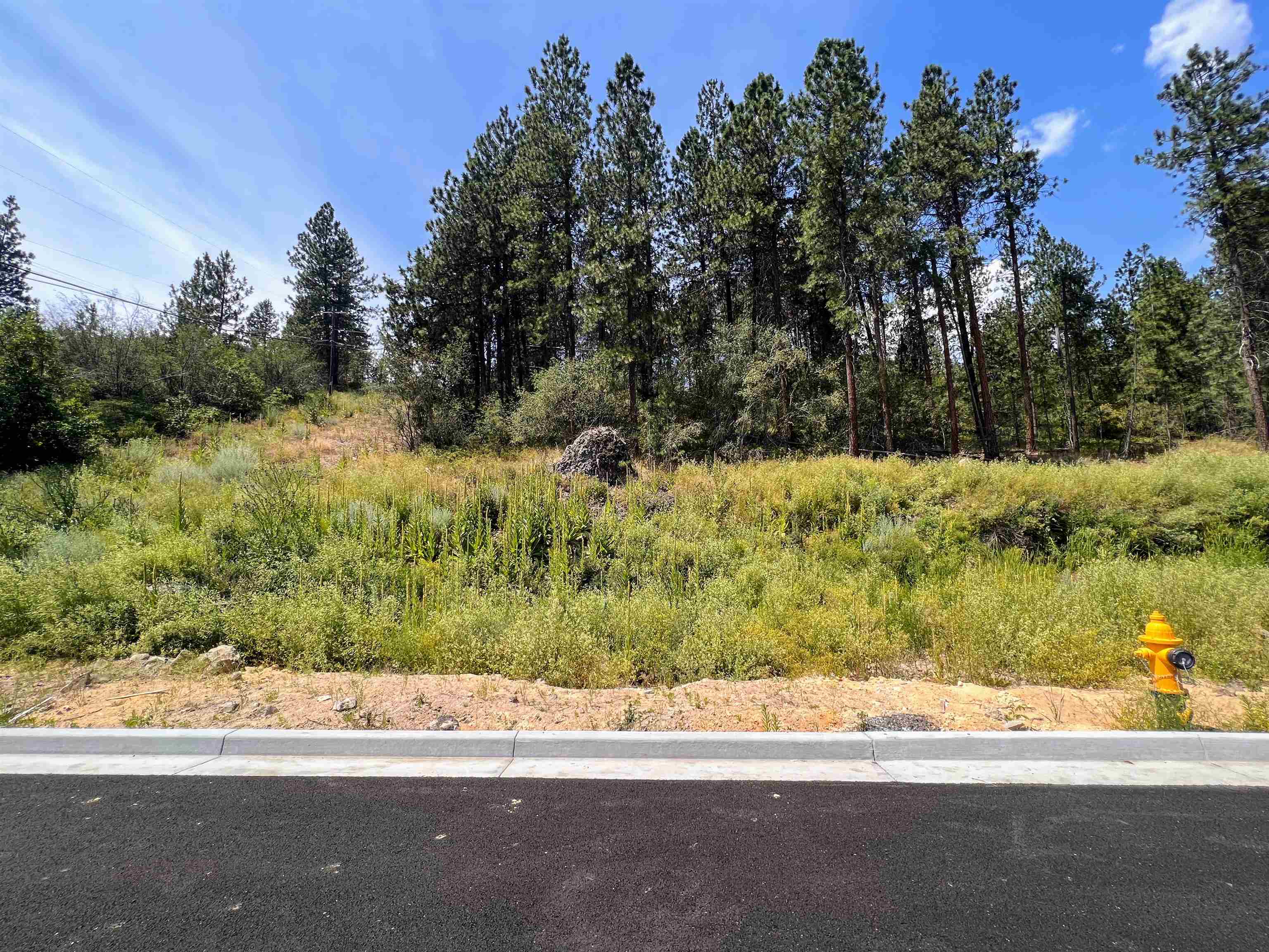 8XXX N Jefferson Dr - Photo 3