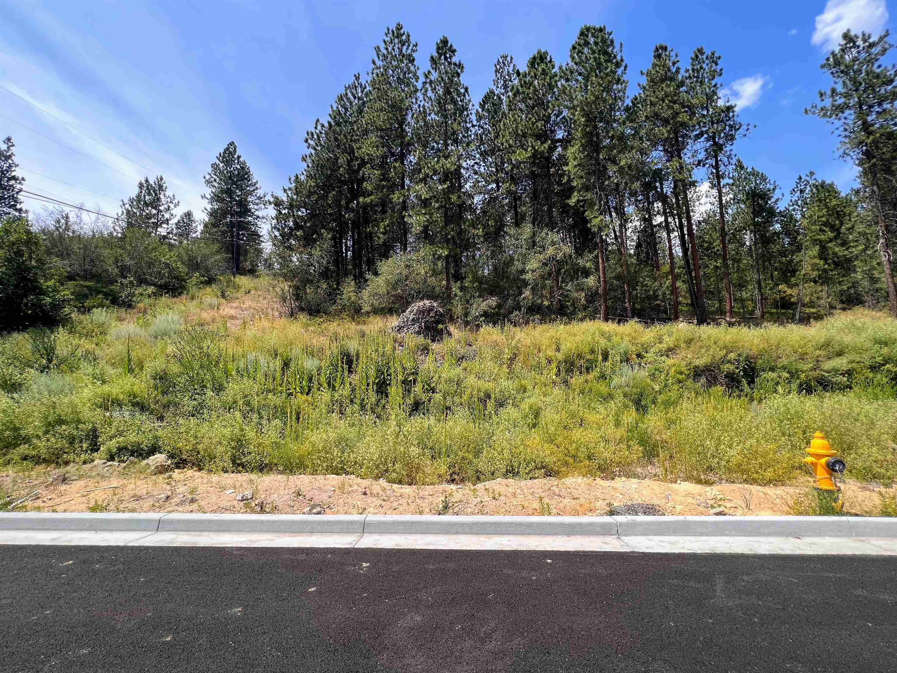 8XXX N Jefferson Dr - Photo 4