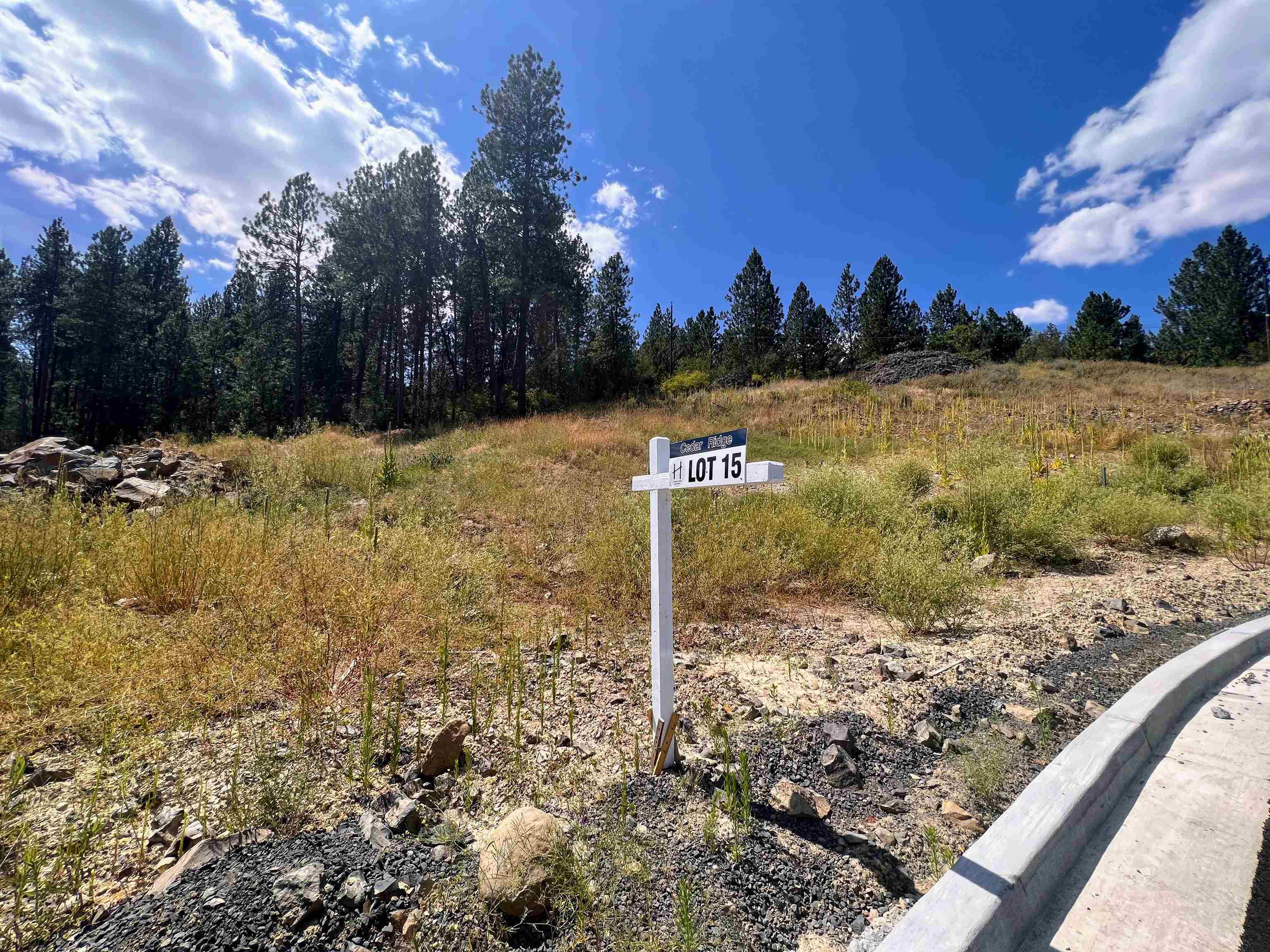 8XXX N Jefferson Dr - Photo 4