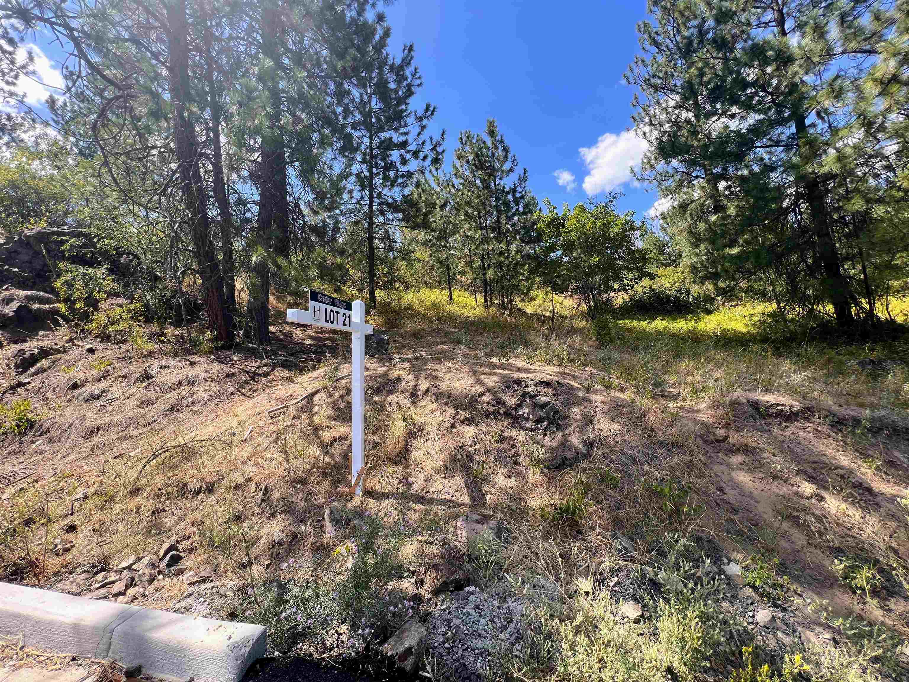 8XXX N Jefferson Dr - Photo 1
