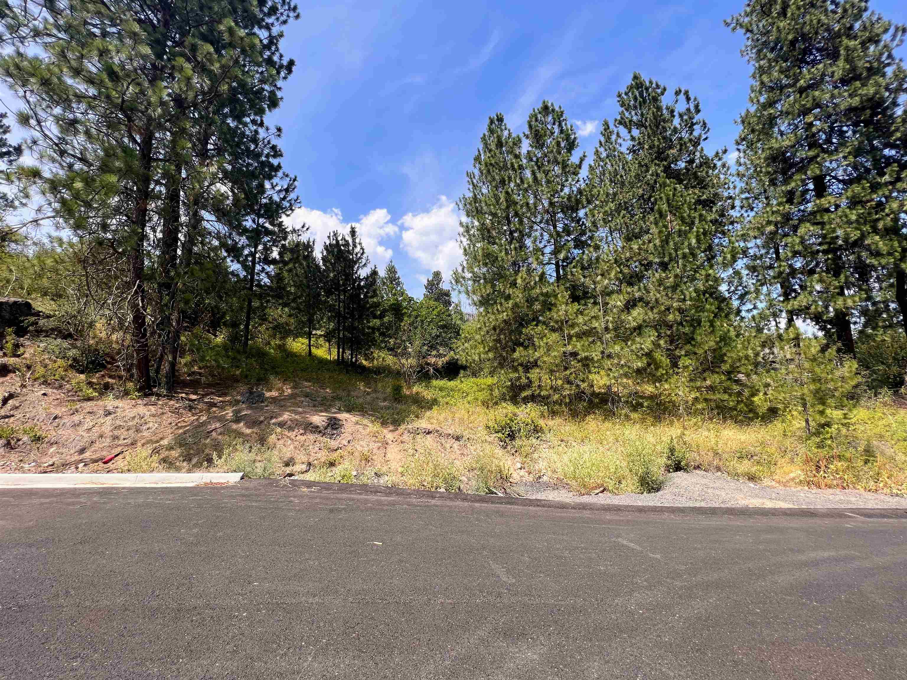 8XXX N Jefferson Dr - Photo 2