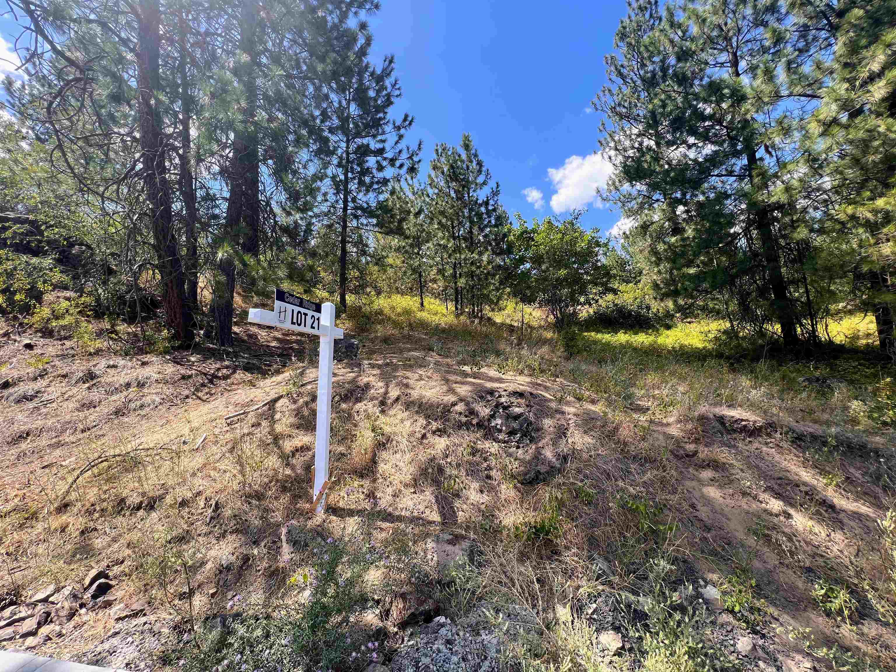 8XXX N Jefferson Dr - Photo 3