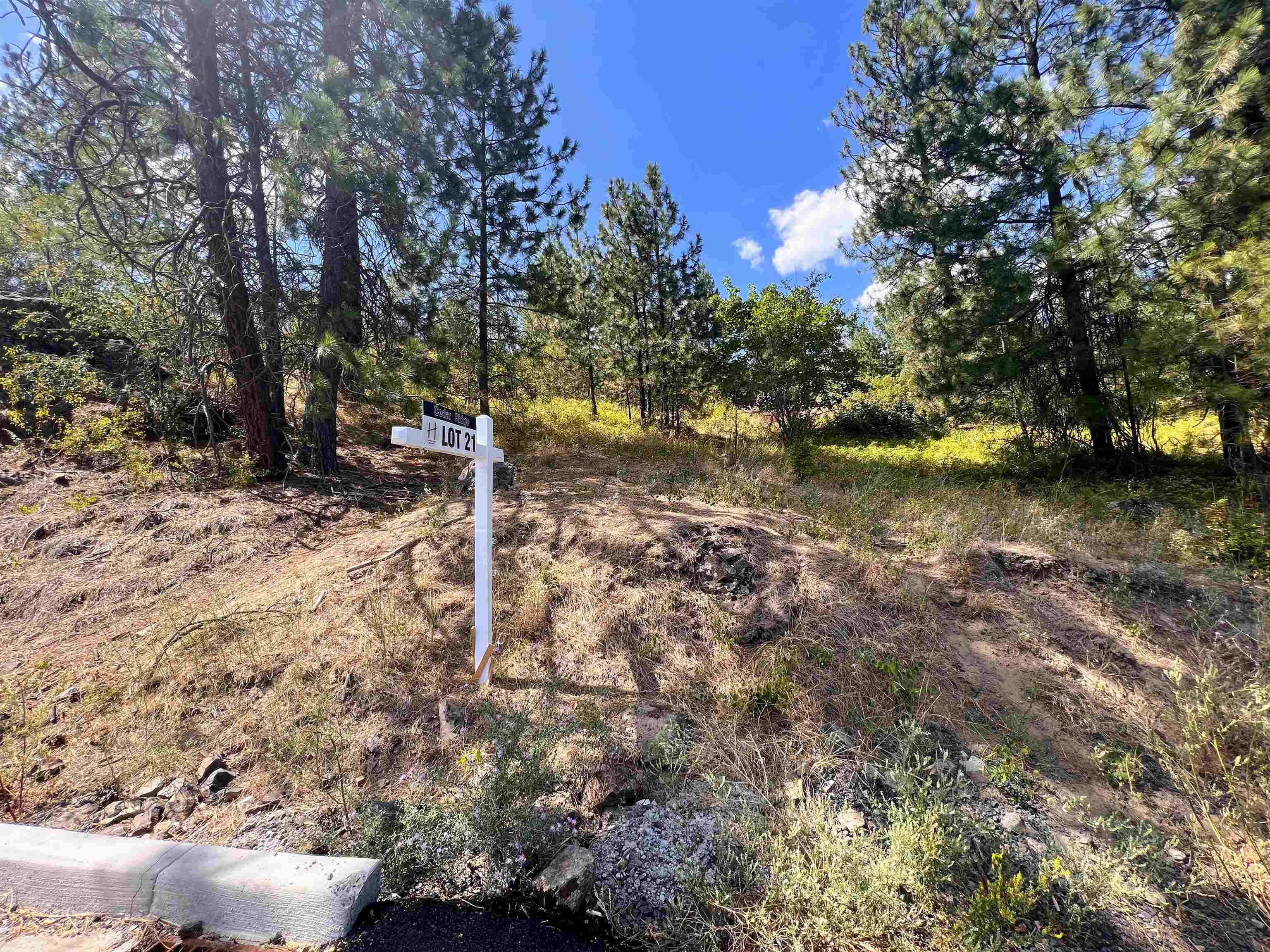 8XXX N Jefferson Dr - Photo 4