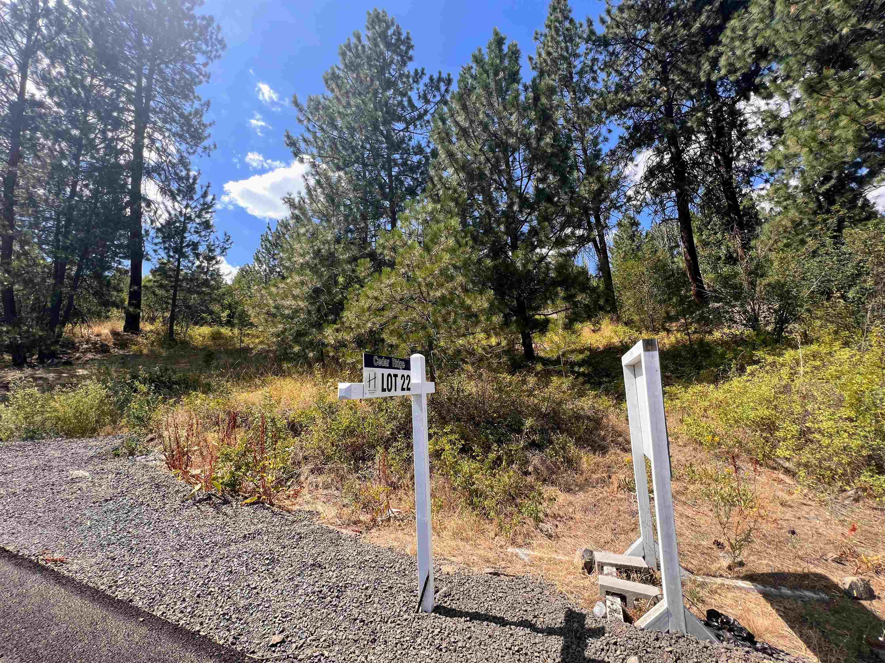 8XXX N Jefferson Dr - Photo 1