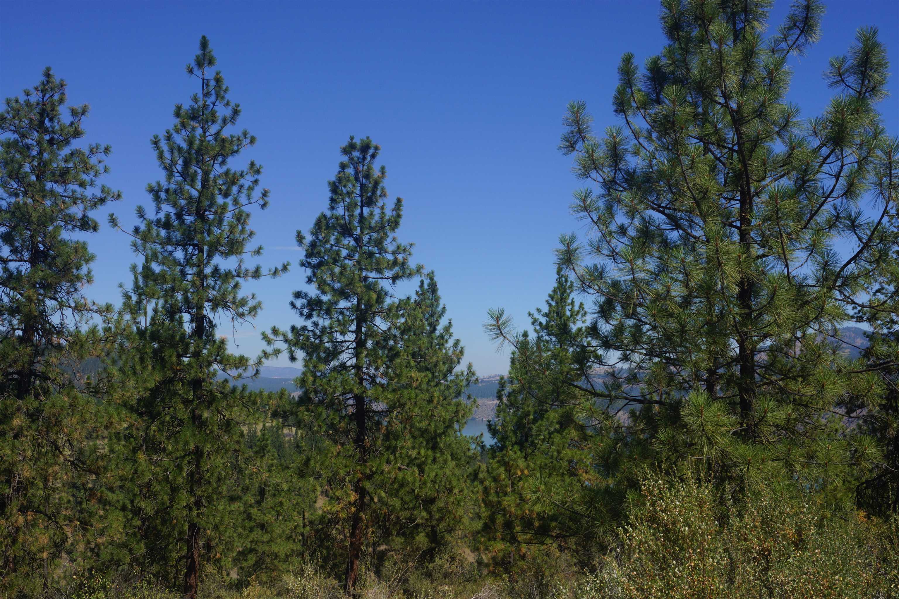 Lot 24 Timber Bay Dr - Photo 15