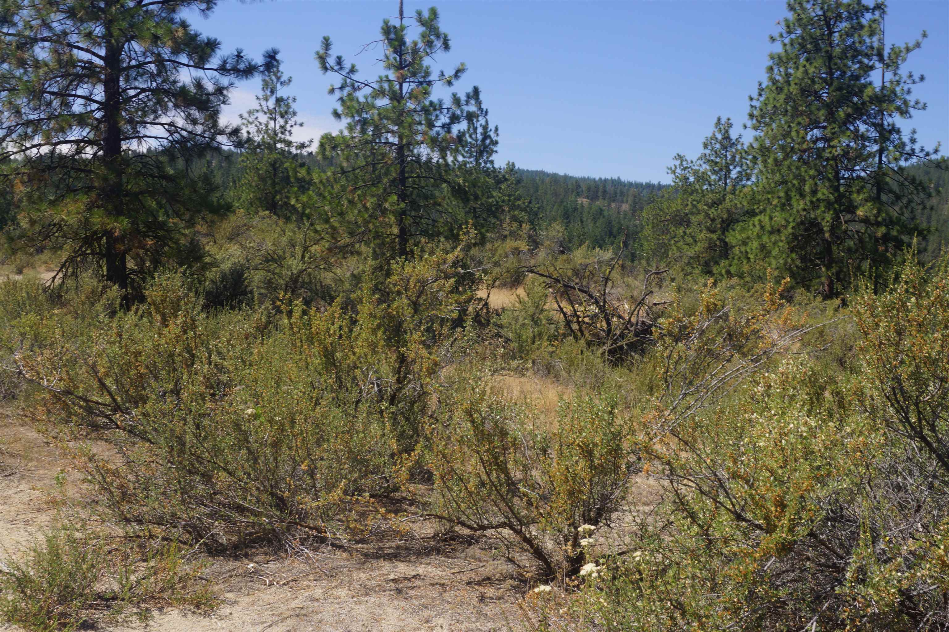 Lot 24 Timber Bay Dr - Photo 17