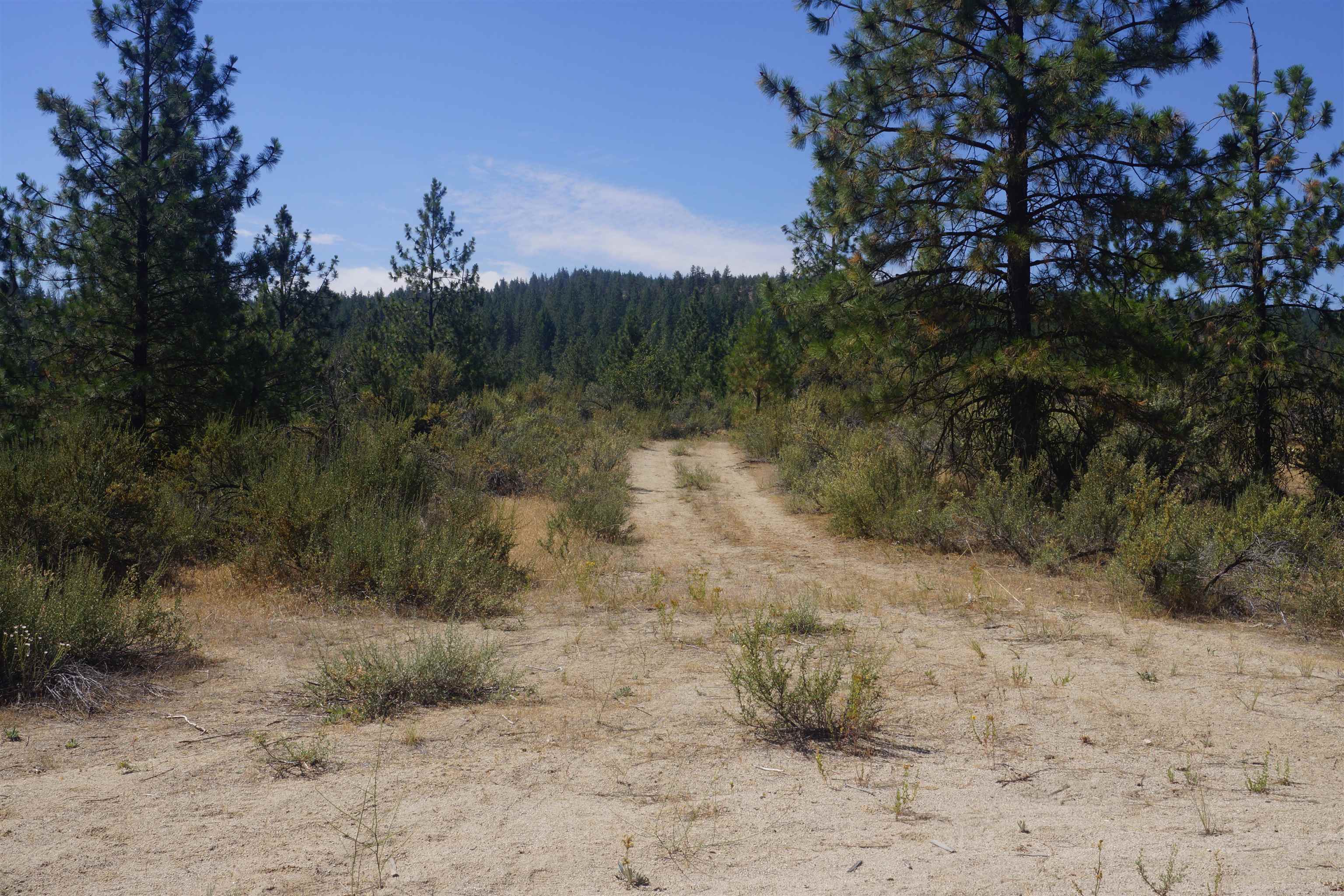 Lot 24 Timber Bay Dr - Photo 18