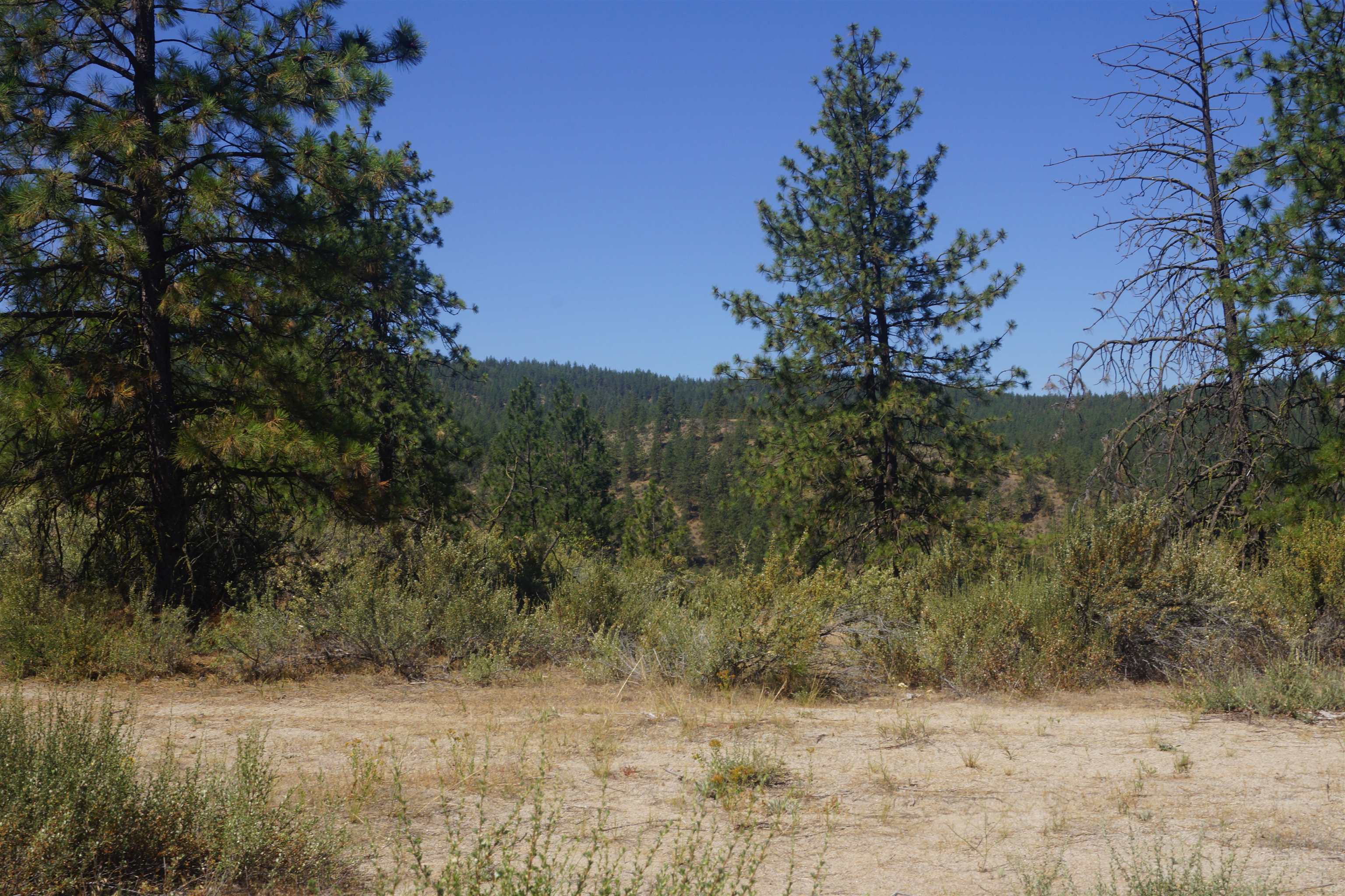 Lot 24 Timber Bay Dr - Photo 20