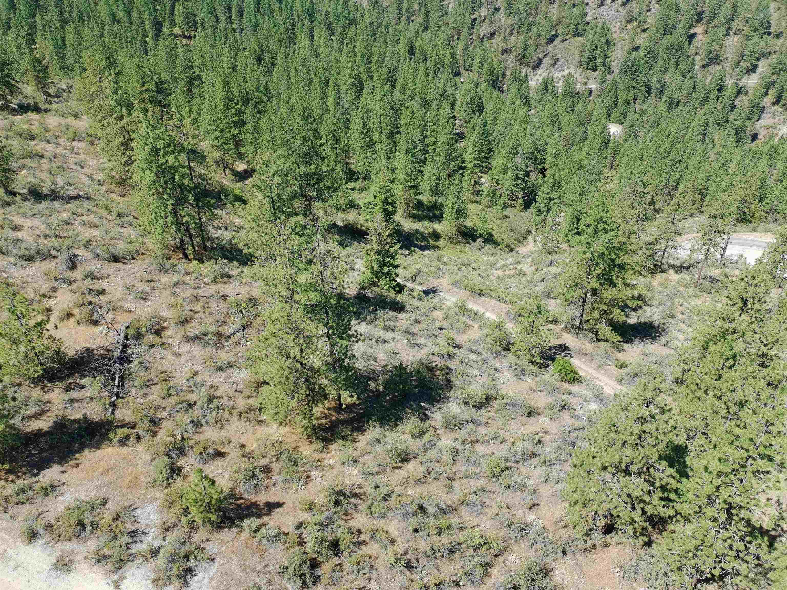 Lot 24 Timber Bay Dr - Photo 33