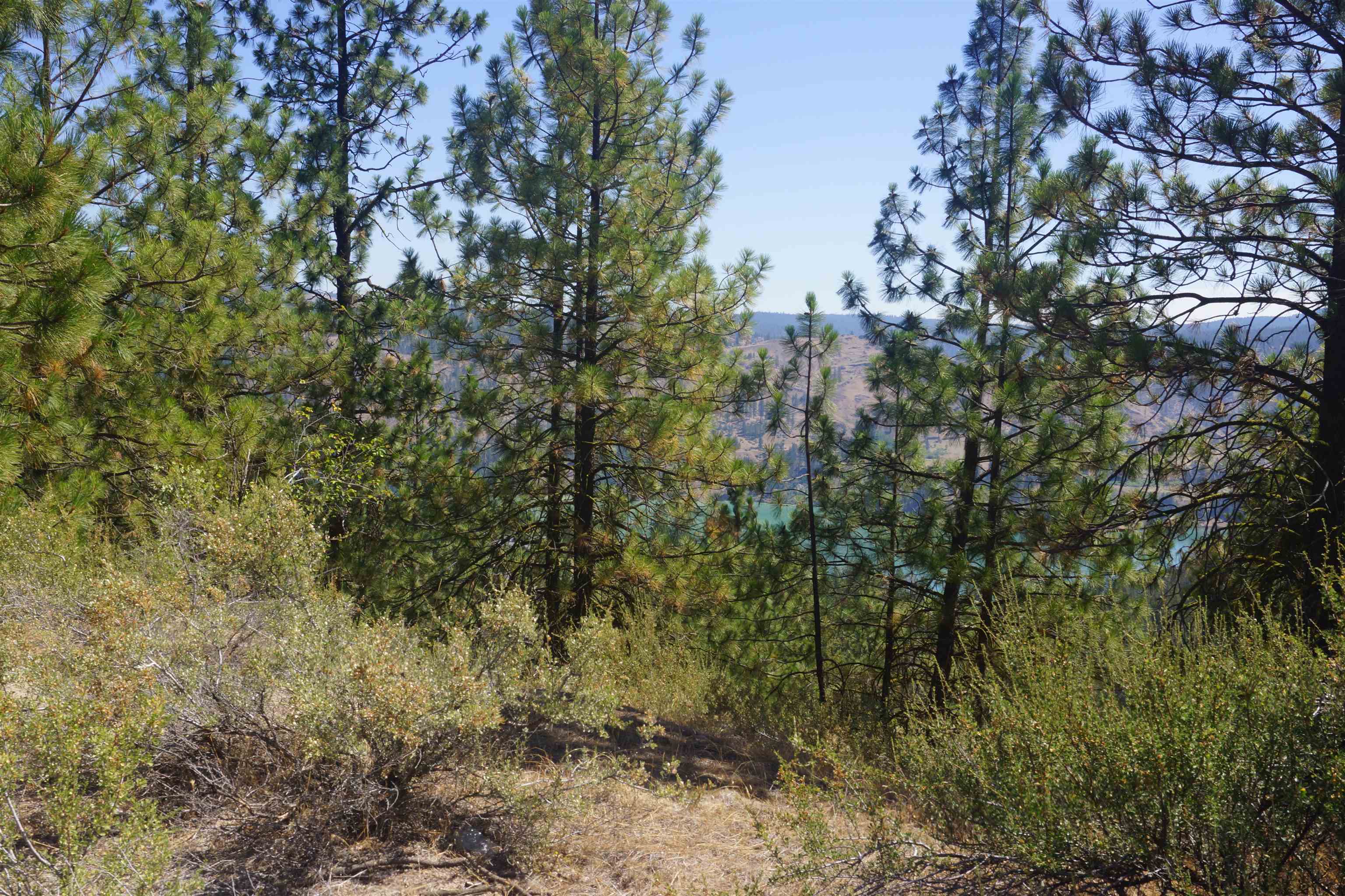 Lot 24 Timber Bay Dr - Photo 8