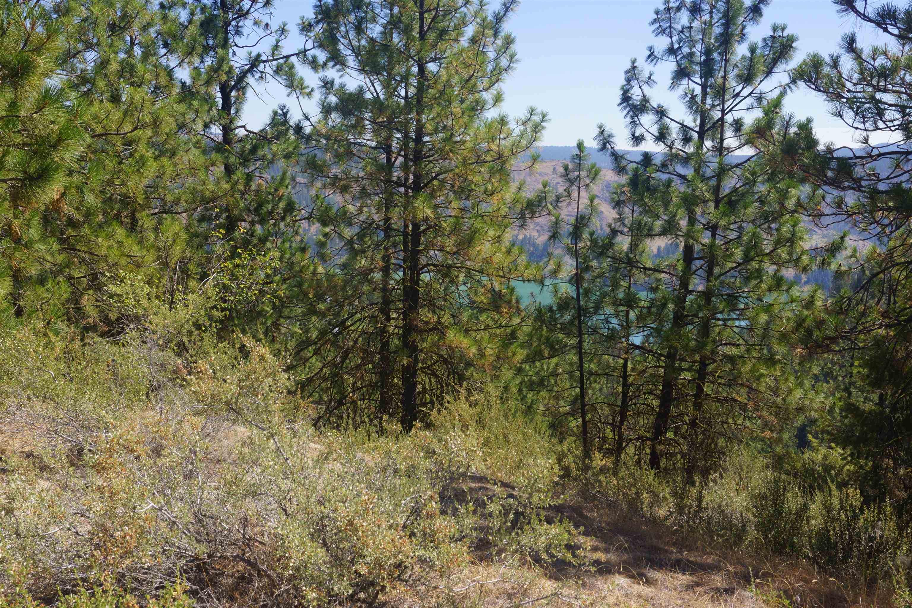 Lot 24 Timber Bay Dr - Photo 10