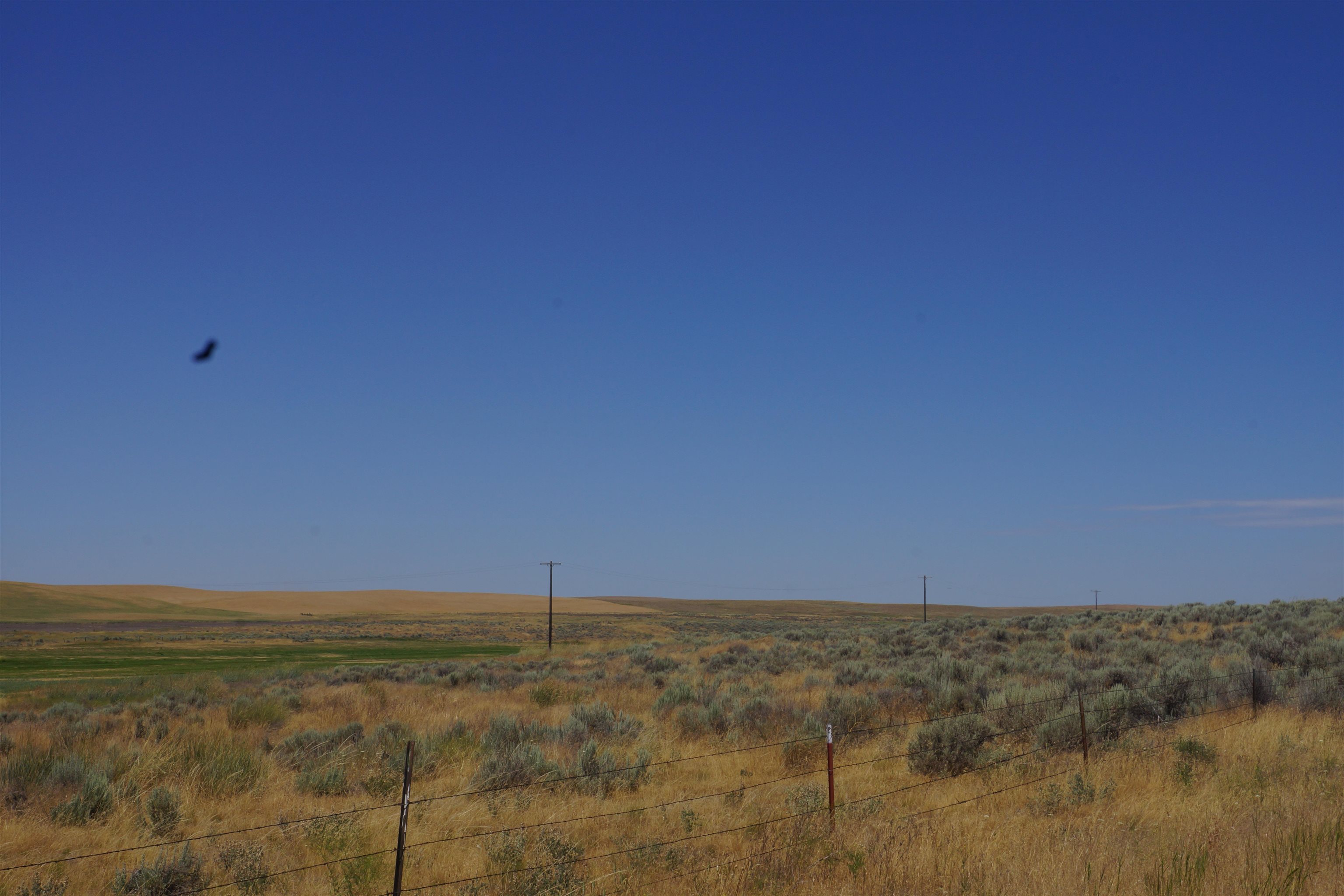 NKA Coal Springs Rd - Photo 1