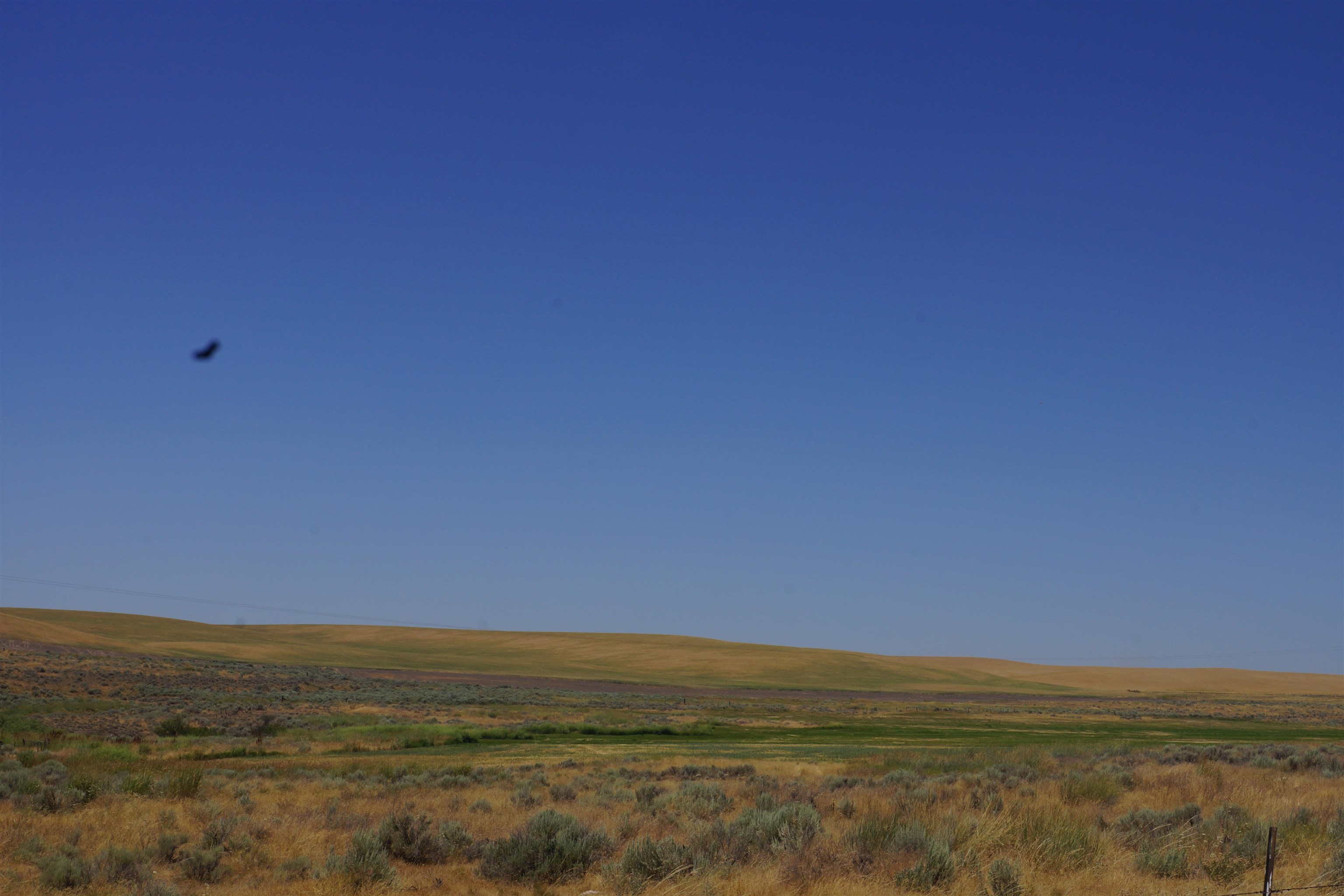 NKA Coal Springs Rd - Photo 3