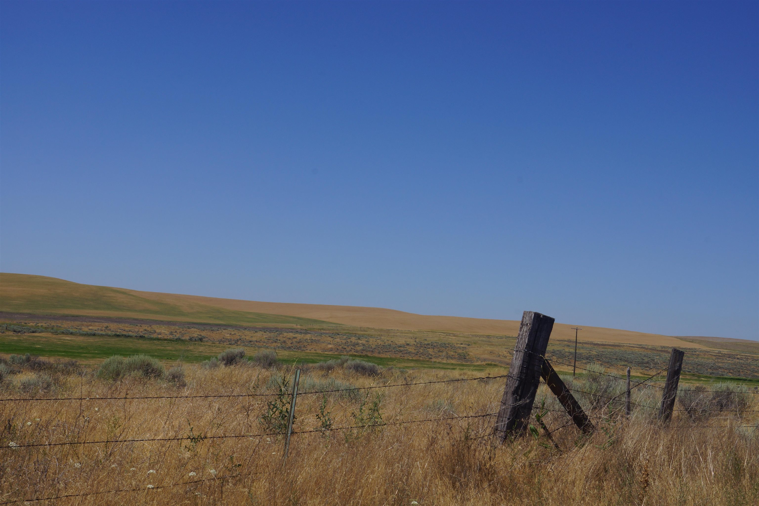 NKA Coal Springs Rd - Photo 7