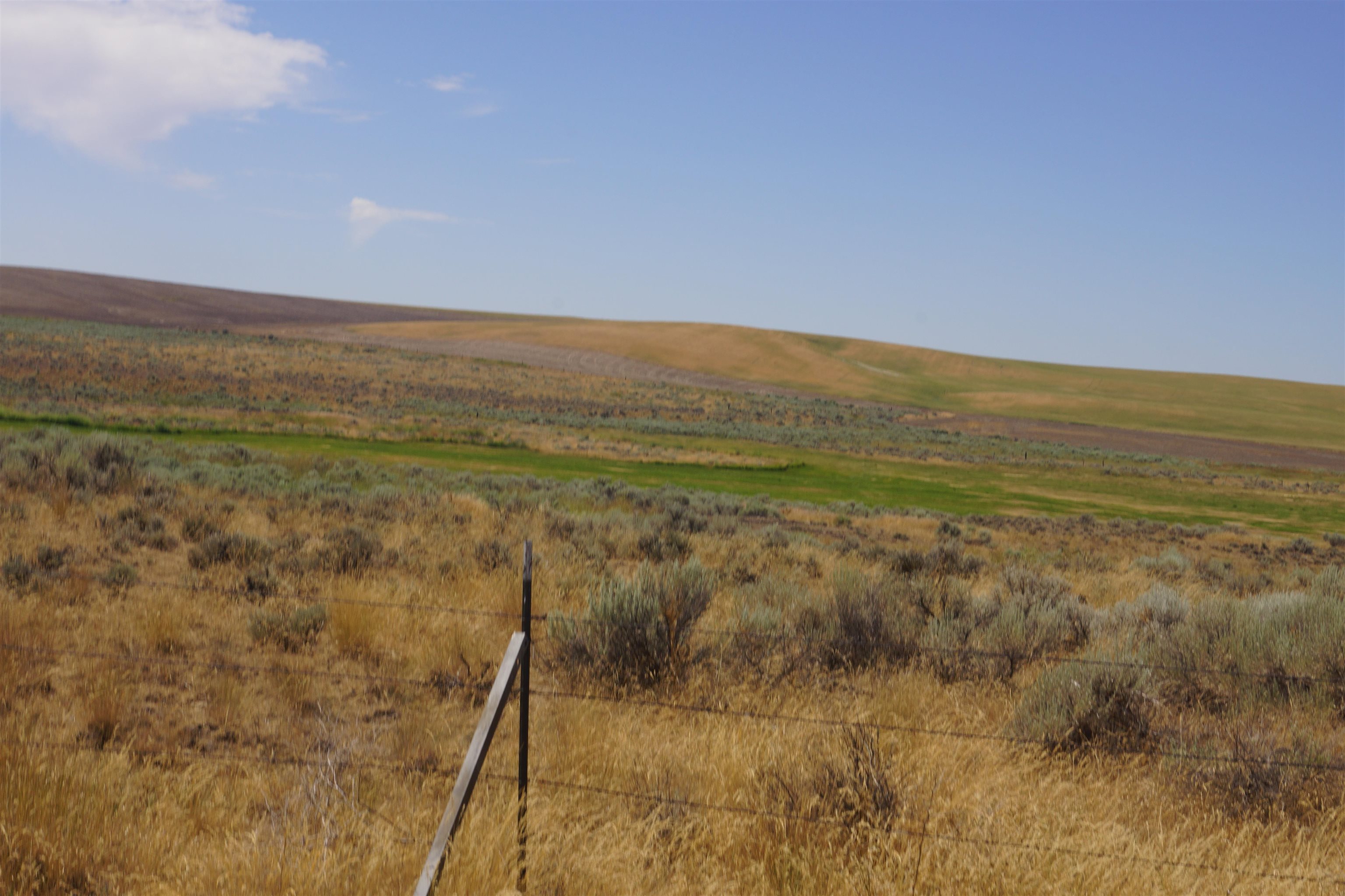NKA Coal Springs Rd - Photo 8