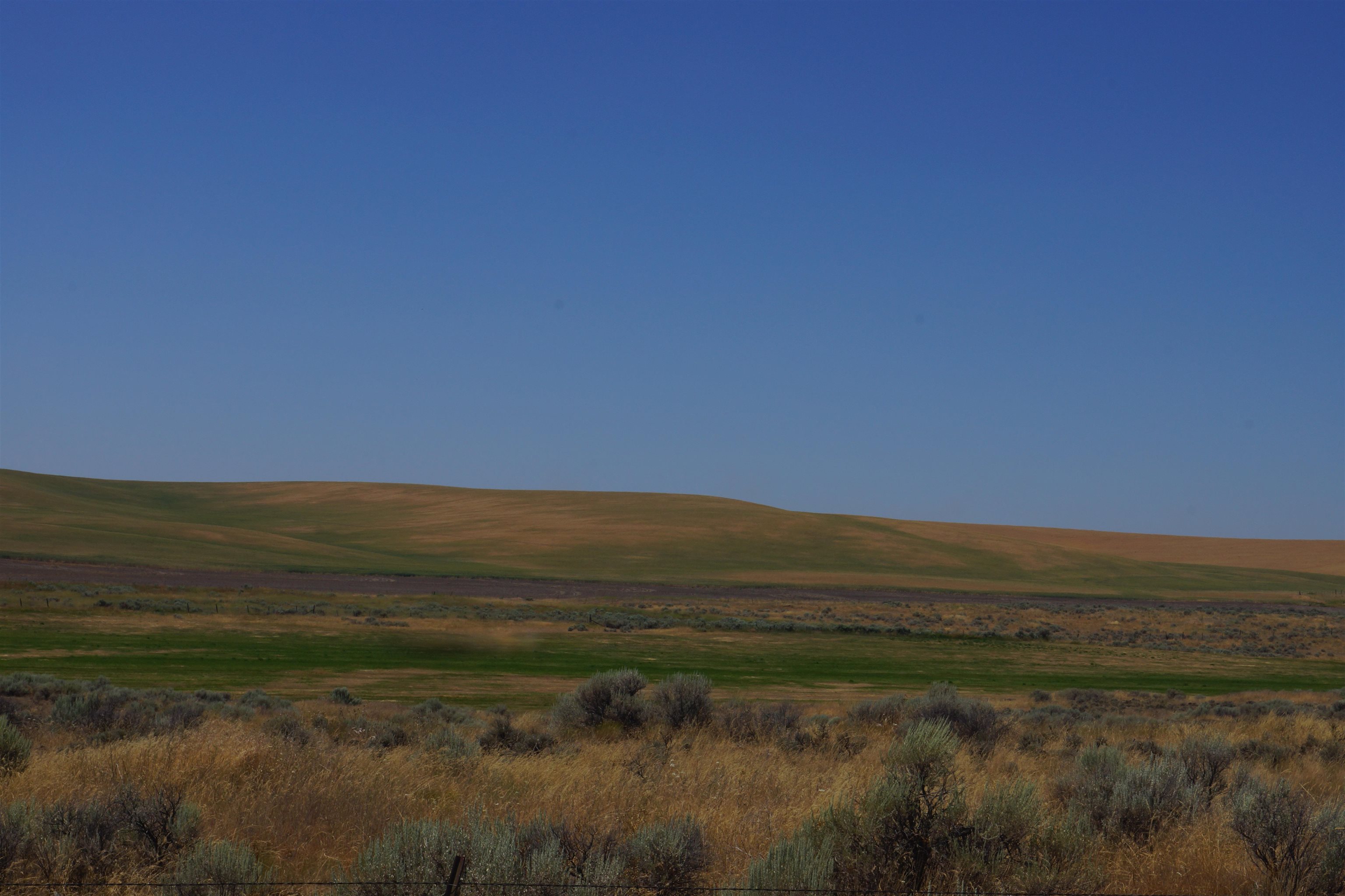 NKA Coal Springs Rd - Photo 10
