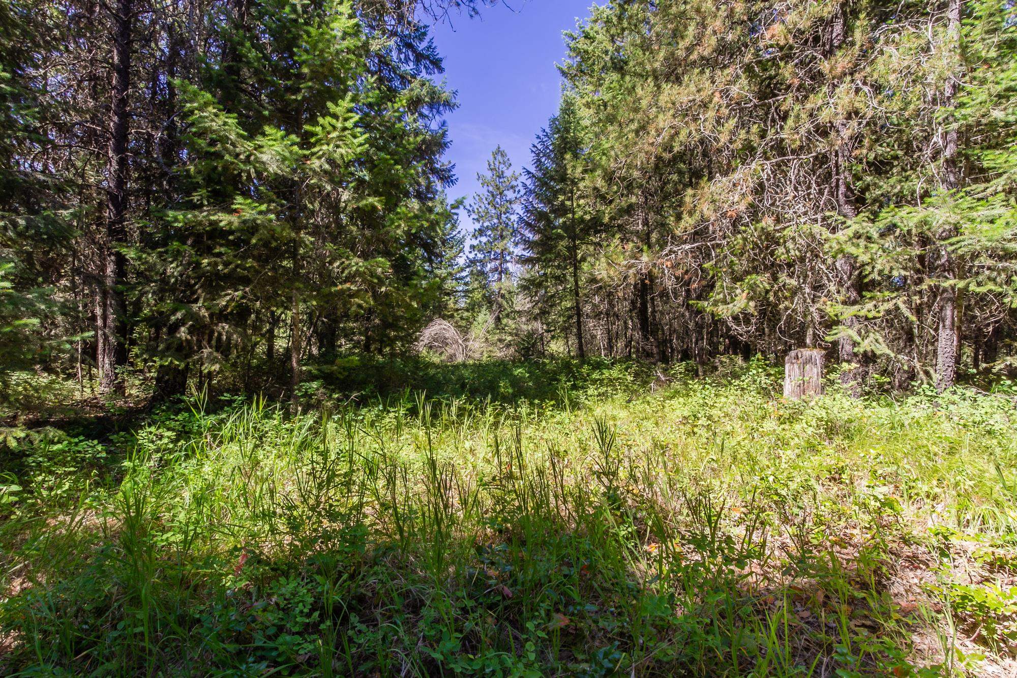 2443 Eagle Lambert Rd - Photo 14