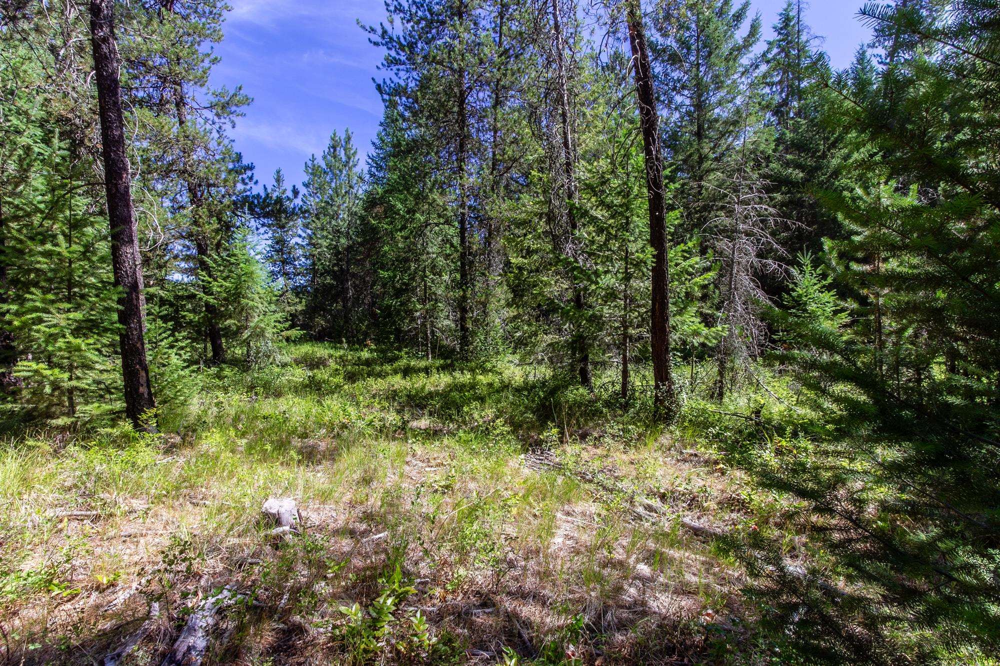 2443 Eagle Lambert Rd - Photo 18