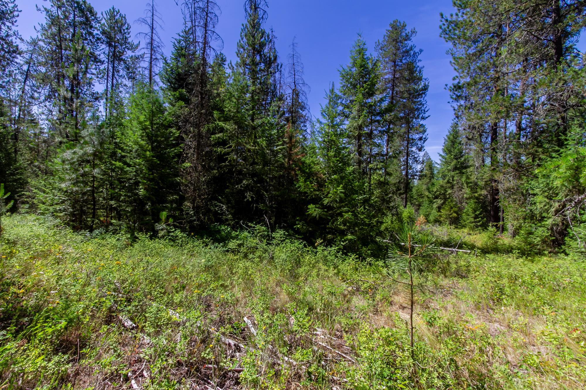2443 Eagle Lambert Rd - Photo 20