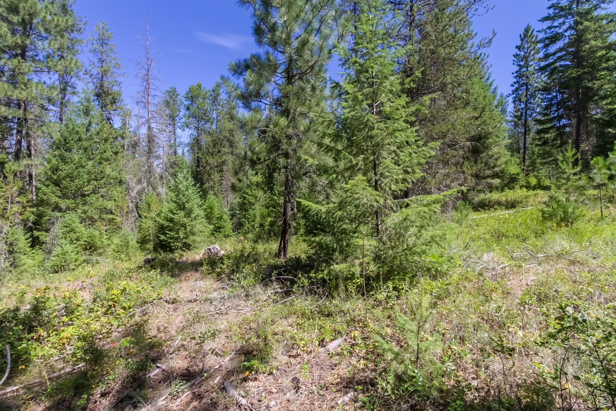 2443 Eagle Lambert Rd - Photo 23