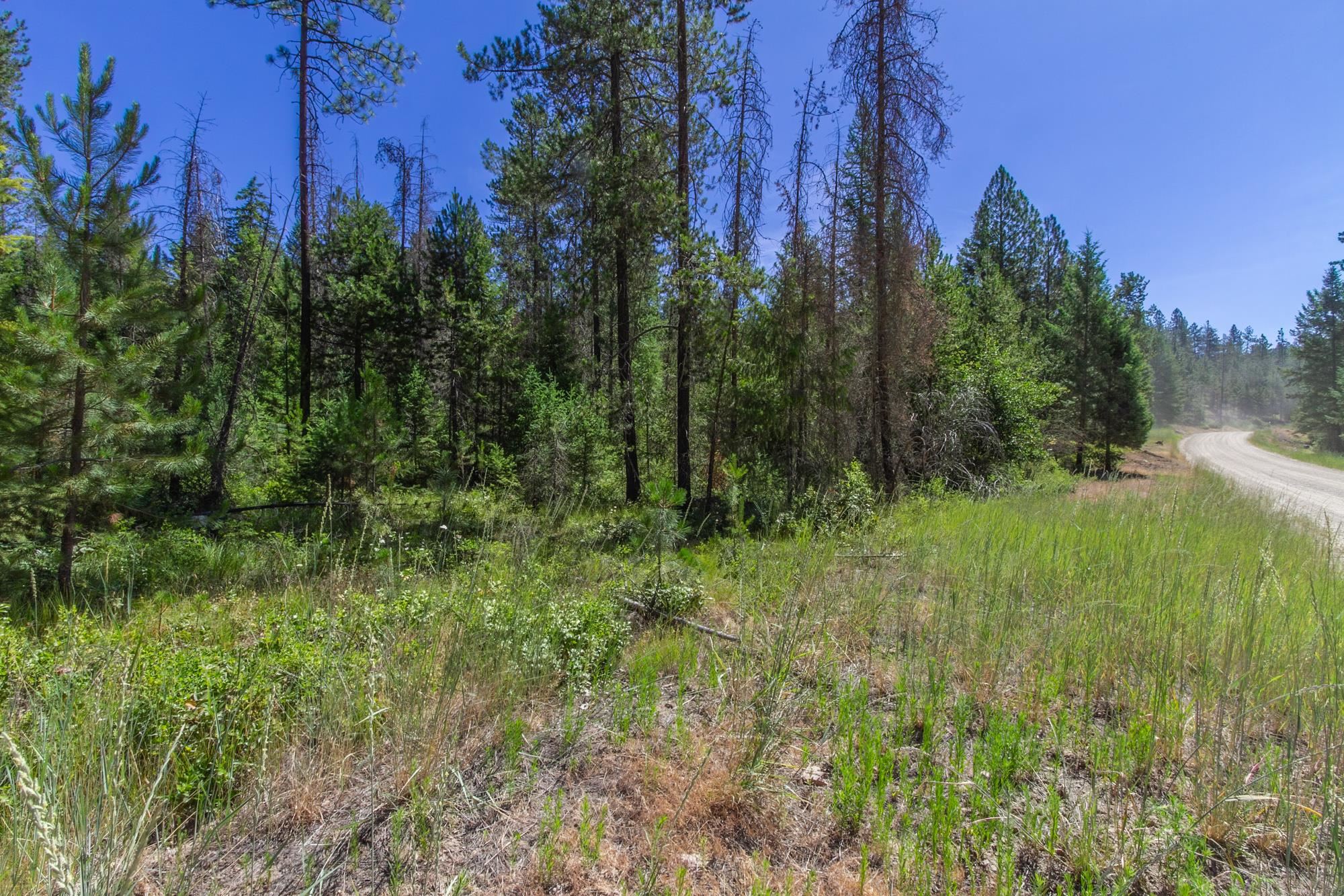 2443 Eagle Lambert Rd - Photo 24