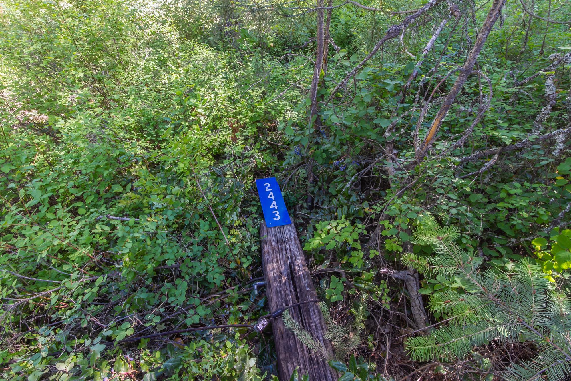2443 Eagle Lambert Rd - Photo 26