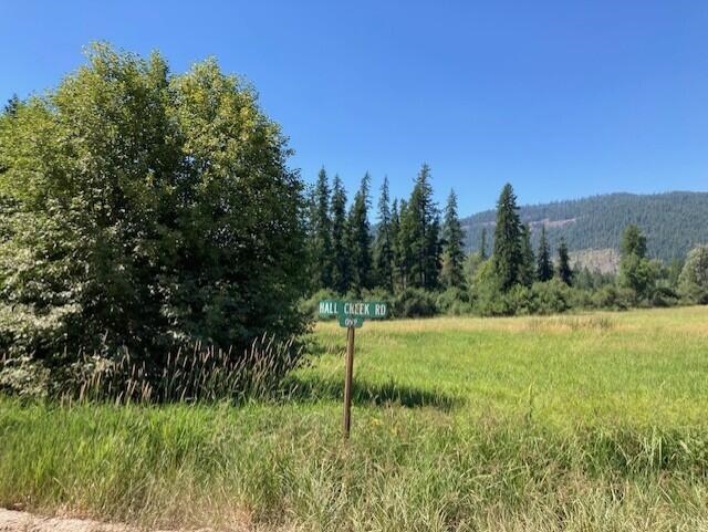 25XX HALL CREEK Rd - Photo 11