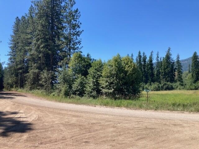 25XX HALL CREEK Rd - Photo 12