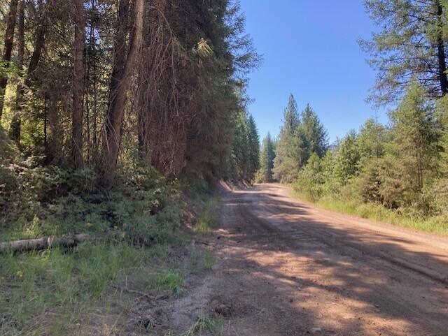 25XX HALL CREEK Rd - Photo 14