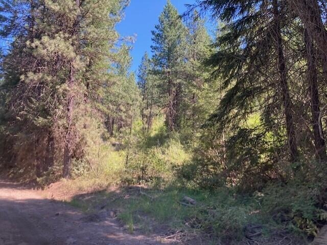 25XX HALL CREEK Rd - Photo 15