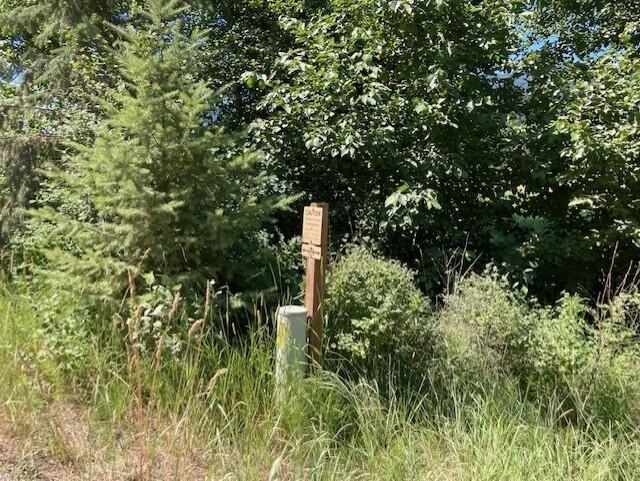 25XX HALL CREEK Rd - Photo 16