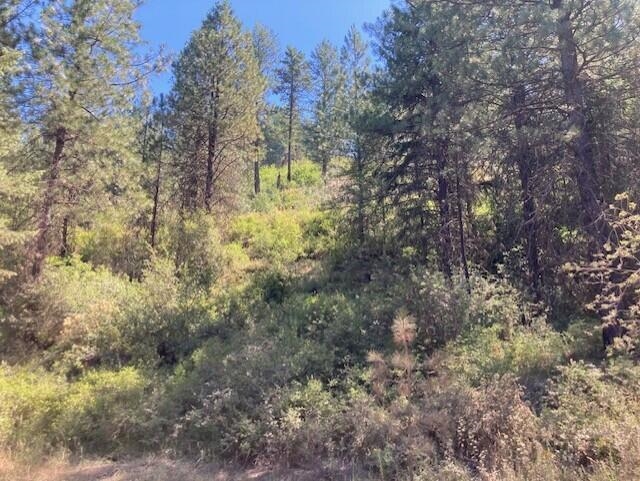 25XX HALL CREEK Rd - Photo 17