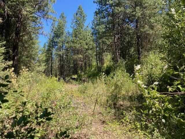25XX HALL CREEK Rd - Photo 18