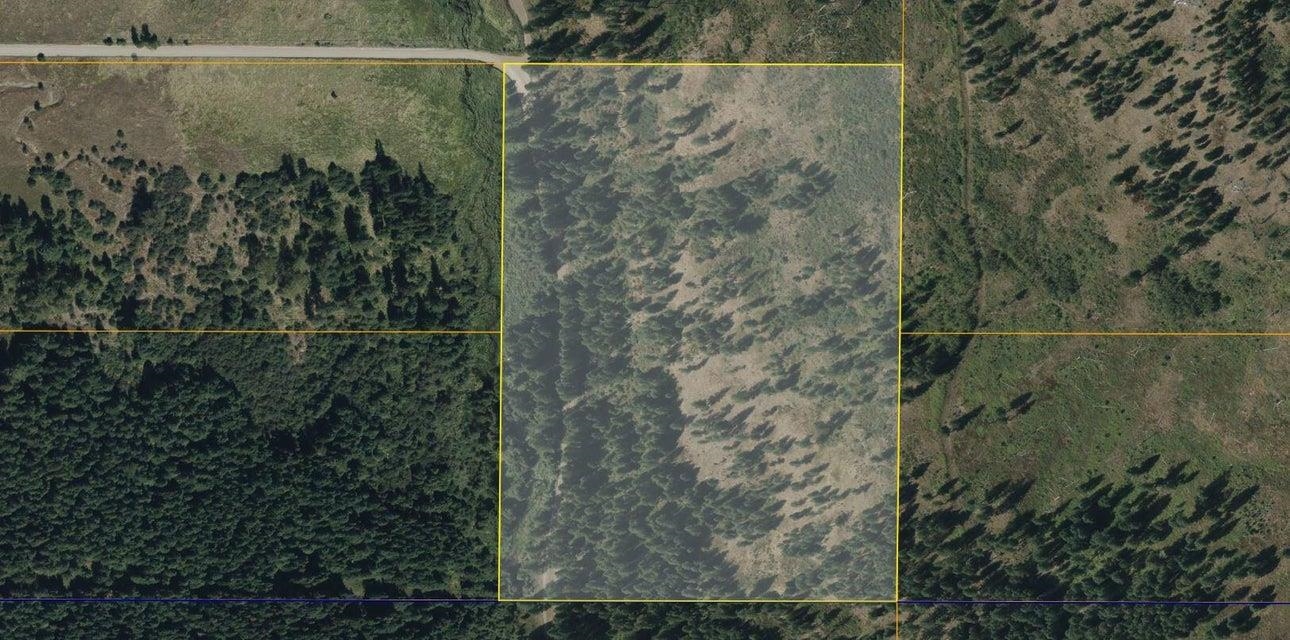 25XX HALL CREEK Rd - Photo 25