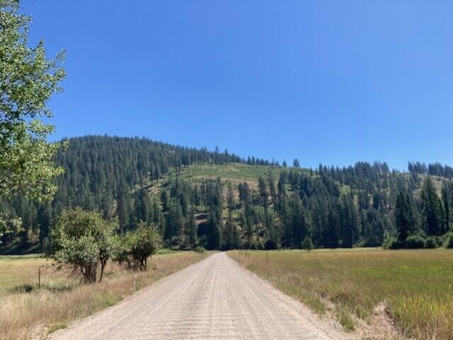 25XX HALL CREEK Rd - Photo 4