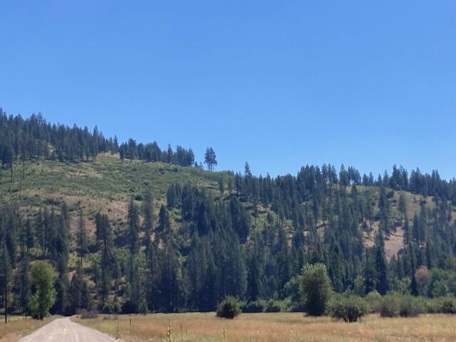 25XX HALL CREEK Rd - Photo 5