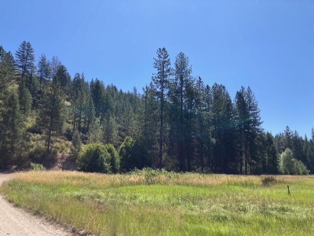 25XX HALL CREEK Rd - Photo 6