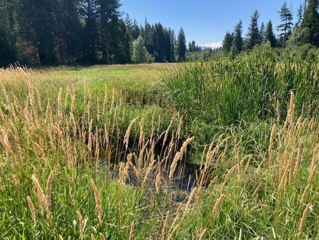 25XX HALL CREEK Rd - Photo 8