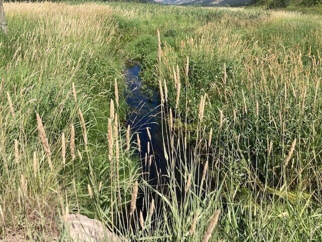 25XX HALL CREEK Rd - Photo 9