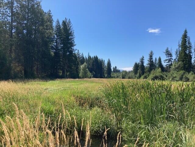 25XX HALL CREEK Rd - Photo 10