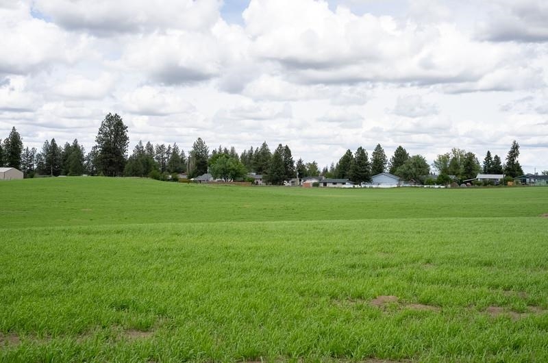 NKA Lambridge Lane Lot 1 Ln - Photo 4