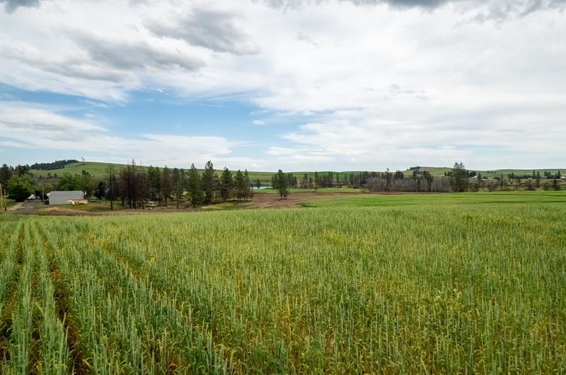 NKA Lambridge Lane Lot 1 Ln - Photo 7
