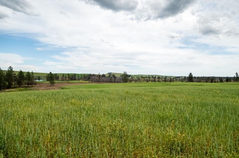 NKA Lambridge Lane Lot 1 Ln - Photo 8