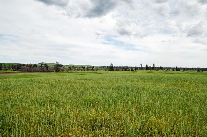 NKA Lambridge Lane Lot 1 Ln - Photo 9