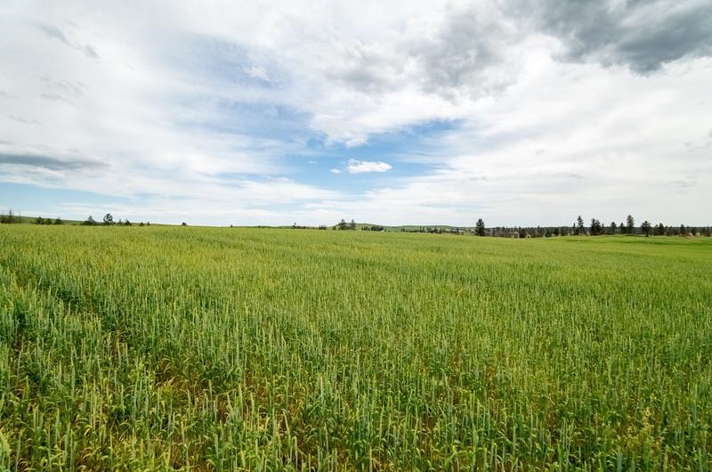 NKA Lambridge Lane Lot 3 Ln - Photo 5
