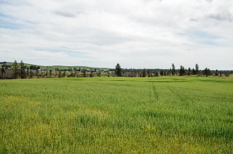 NKA Lambridge Lane Lot 3 Ln - Photo 6